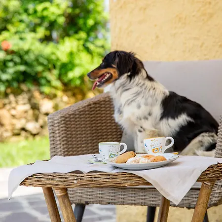 La Genziana Farm stay Alghero